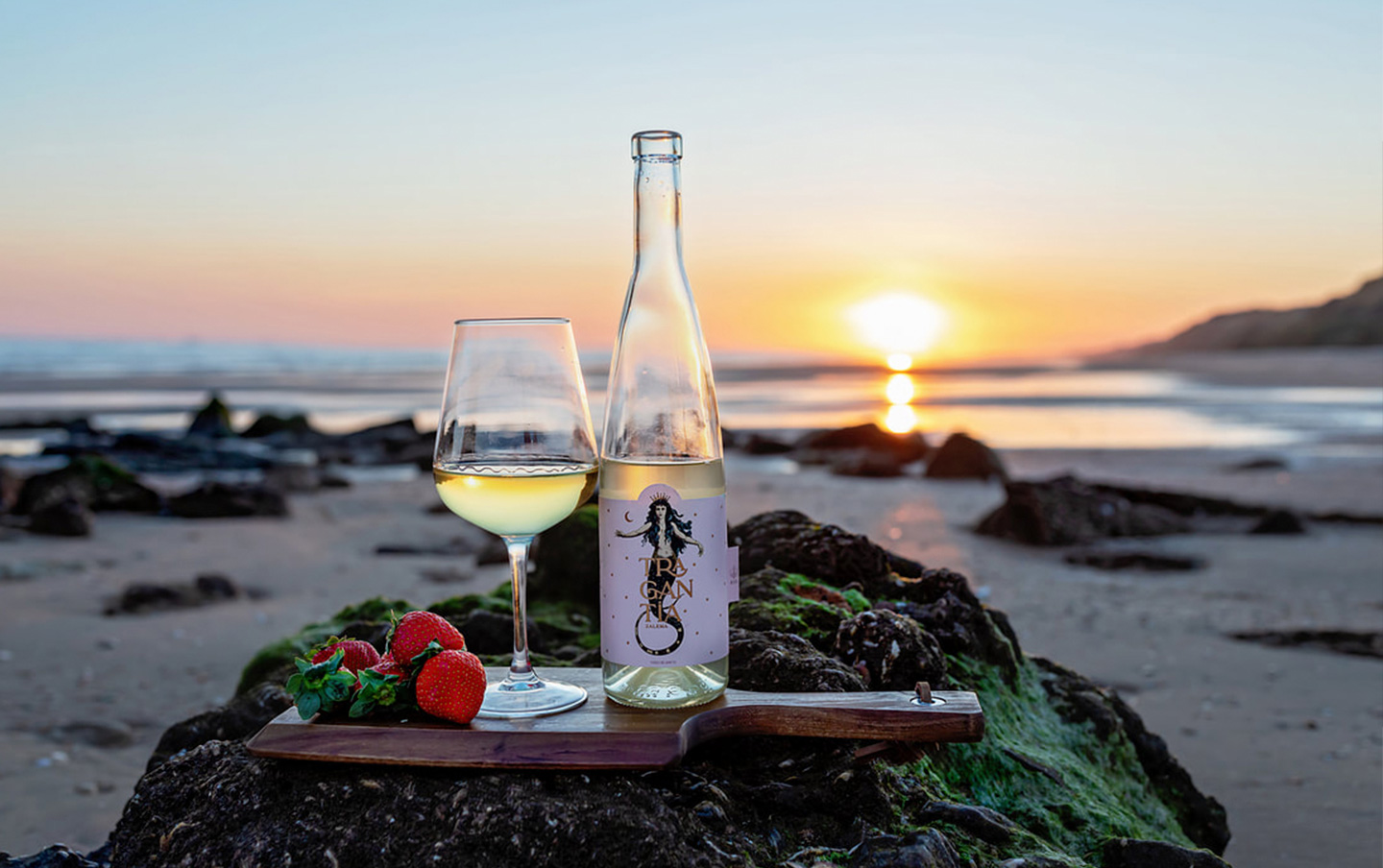 Vino Tragantia, Vino de autor, Fotografía de producto, gemabur fotografía